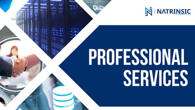 Natrinsic-ProfessionalServices