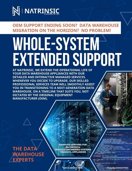 Natrinsic Whole System Support - Managed Services, Professional Services